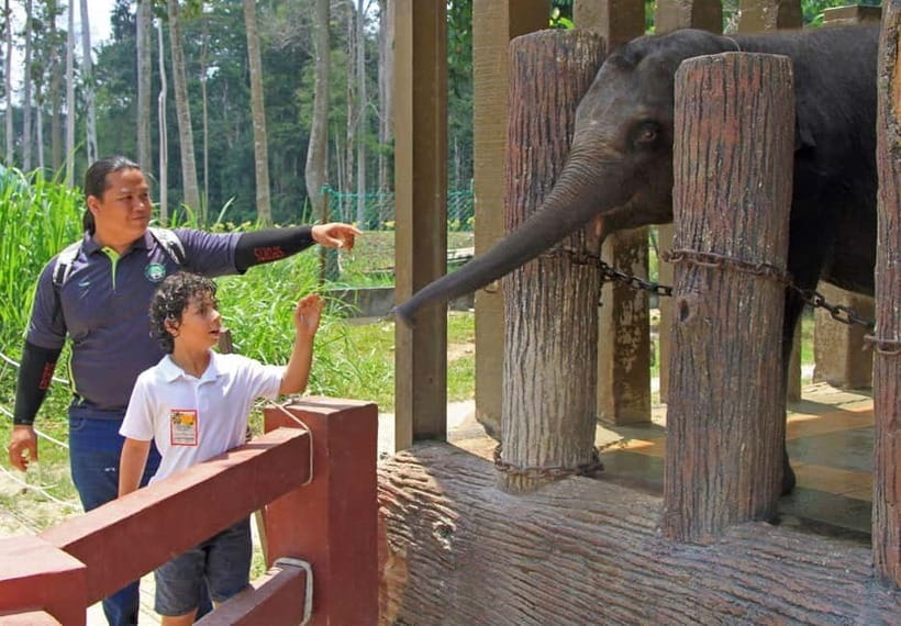 Kuala Lumpur Day Tour: Batu Caves & Elephant Sanctuary - What you see inside the Temple Cave