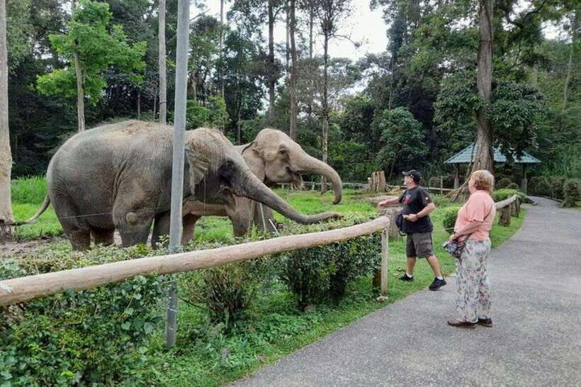 Kuala Lumpur: Kuala Gandah and Batu Caves Private Trip - Batu Caves and Kuala Gandah in one long day