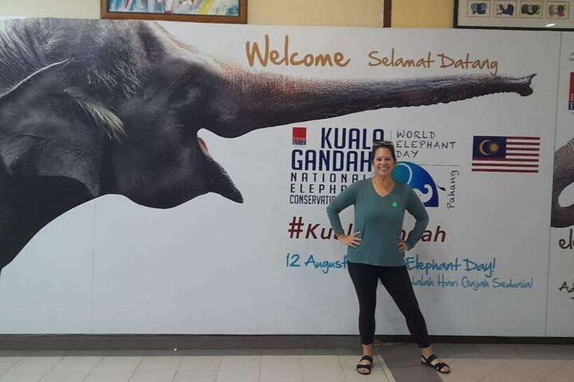 Kuala Lumpur: Kuala Gandah and Batu Caves Private Trip - Meeting rescued elephants at the sanctuary