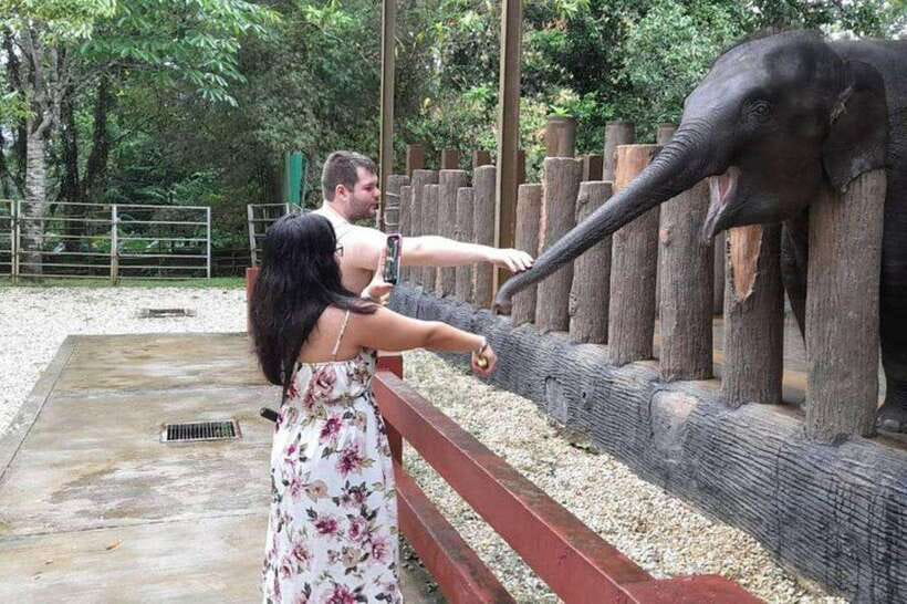 Kuala Lumpur: Kuala Gandah and Batu Caves Private Trip - Final decision