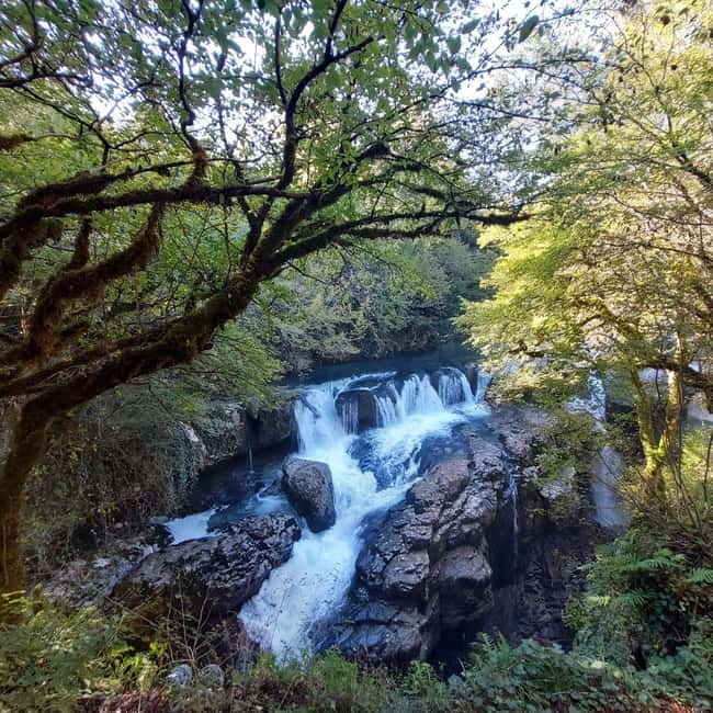 Kutaisi: Okatse-Martvili Canyons,Prometheus Cave, Waterfalls - Ogueshi Waterfall and the swimming stop