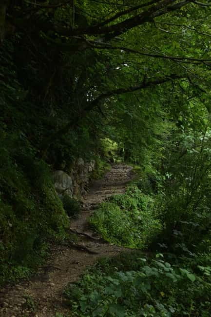 Kutaisi: Okatse-Martvili Canyons,Prometheus Cave, Waterfalls - Who should book this experience