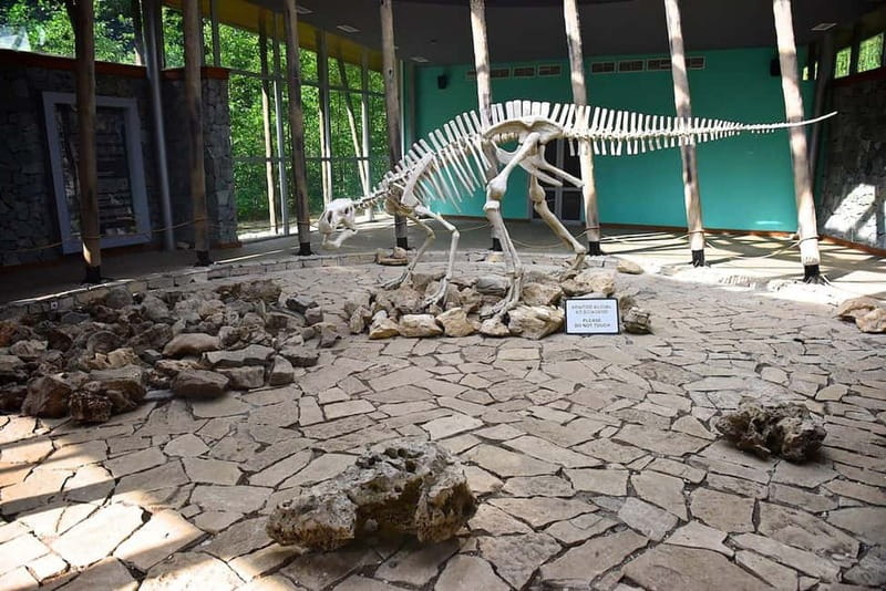 Kutaisi: Sataplia Natural Res. & Tetra Cave Wine Degustation - Sataplia Nature Reserve and its dinosaur footprints