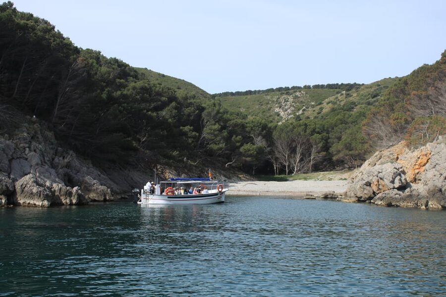 L'Estartit: Boat Trip to the Medes Islands and the NP Caves - What the glass-bottom panels actually add
