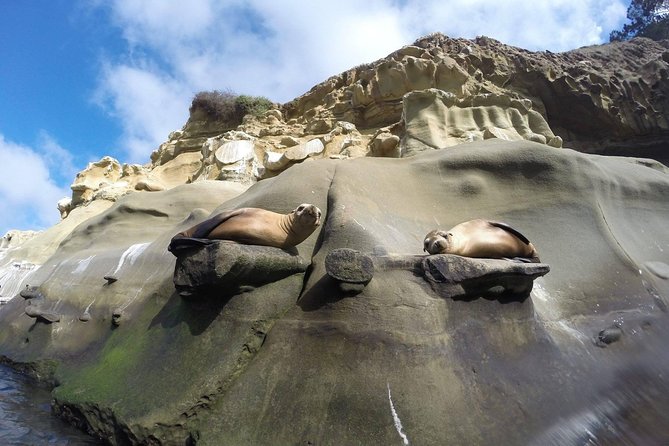 La Jolla Sea Caves Kayak Tour For Two (Tandem Kayak) - What the La Jolla kayak trip is really like