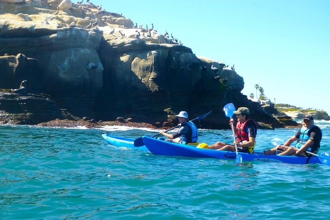 La Jolla Sea Caves Kayak Tour For Two (Tandem Kayak) - Wildlife at water level