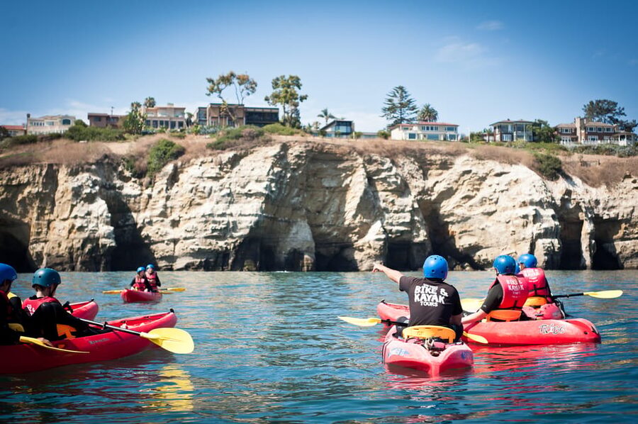 La Jolla: Sunset Kayak Tour of the 7 Caves - Wildlife along the reserve