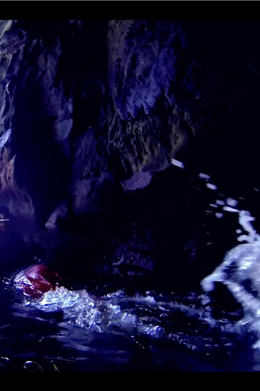 La Jolla: Sunset Kayak Tour of the 7 Caves - Should you book the seven-cave sunset tour?
