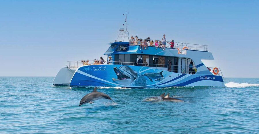 Lagos: Dolphins & Caves - Catamaran - Dolphins first, caves and cliffs second