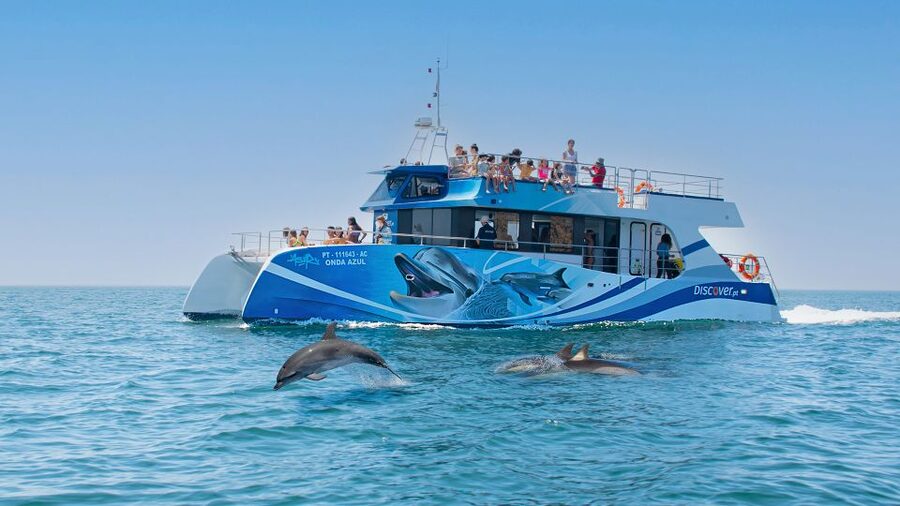 Lagos: Dolphins & Caves - Catamaran - Respectful wildlife watching matters