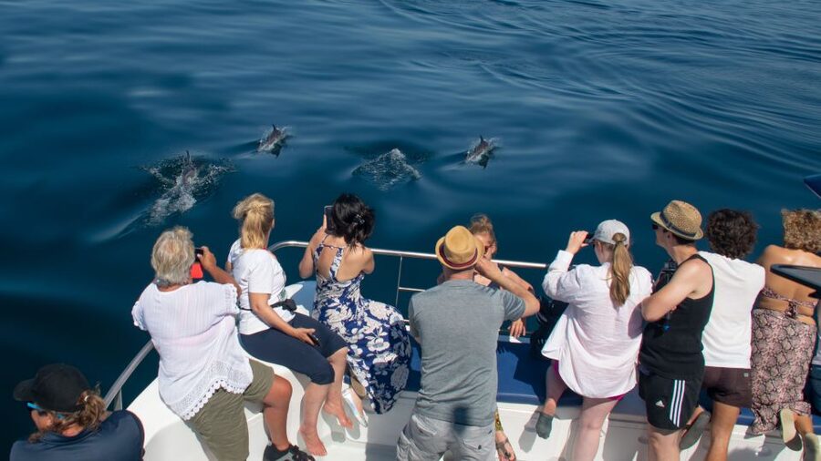 Lagos: Dolphins & Caves - Catamaran - Practical advice for a better outing