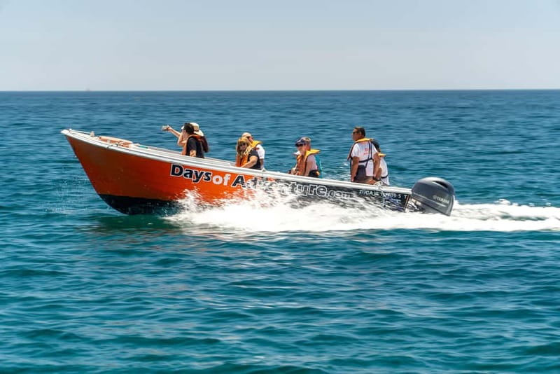 Lagos: Ponta da Piedade Caves Boat Tour - Choosing the best departure time