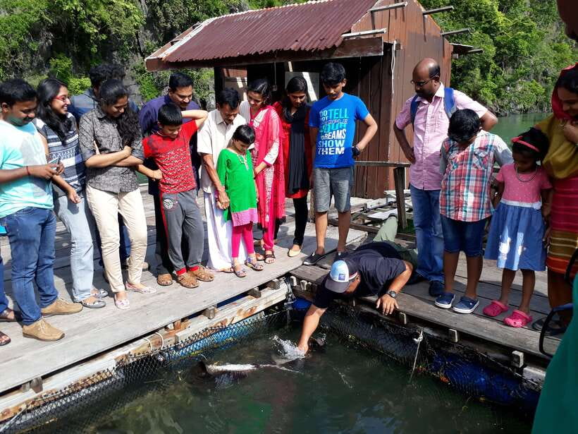 Langkawi: Mangrove Kilim UNESCO Geopark & Cave Tour - What the $50 price really covers