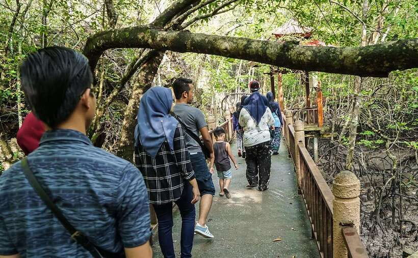 Langkawi: Mangrove Kilim UNESCO Geopark & Cave Tour - Limestone cliffs and old sea formations