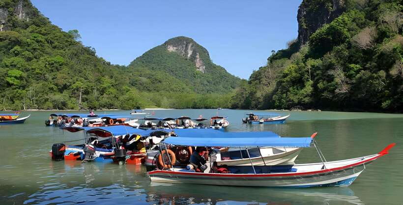 Langkawi: Mangrove Tour with Kilim Geoforest Park & Bat Cave - Guide quality, crowds, and what can change