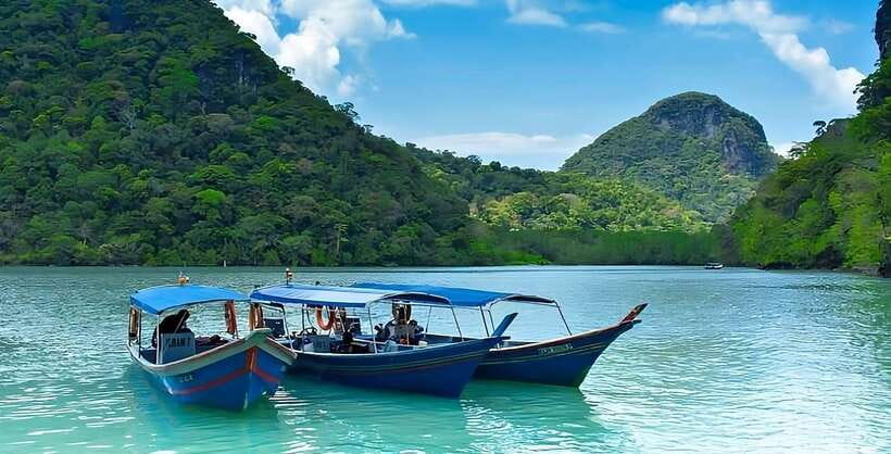 Langkawi: Mangrove Tour with Kilim Geoforest Park & Bat Cave - Mangrove channels, monkeys, and coastal protection
