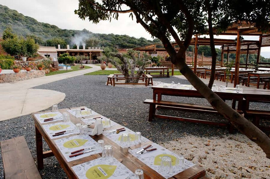 Lassithi, Zeus Cave, Olive Mill Farm & Knossos Combo Tour - The price is good, but calculate the real total