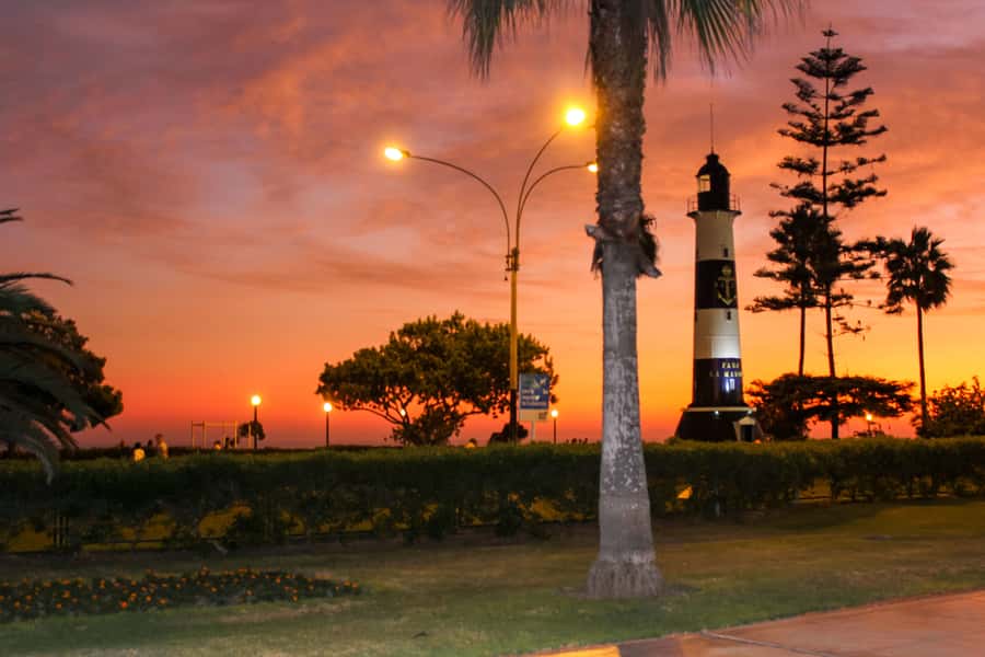 Lima: Historic Downtown, Miraflores & Catacombs Private Tour - El Olivar, Lima’s quiet olive-tree pause