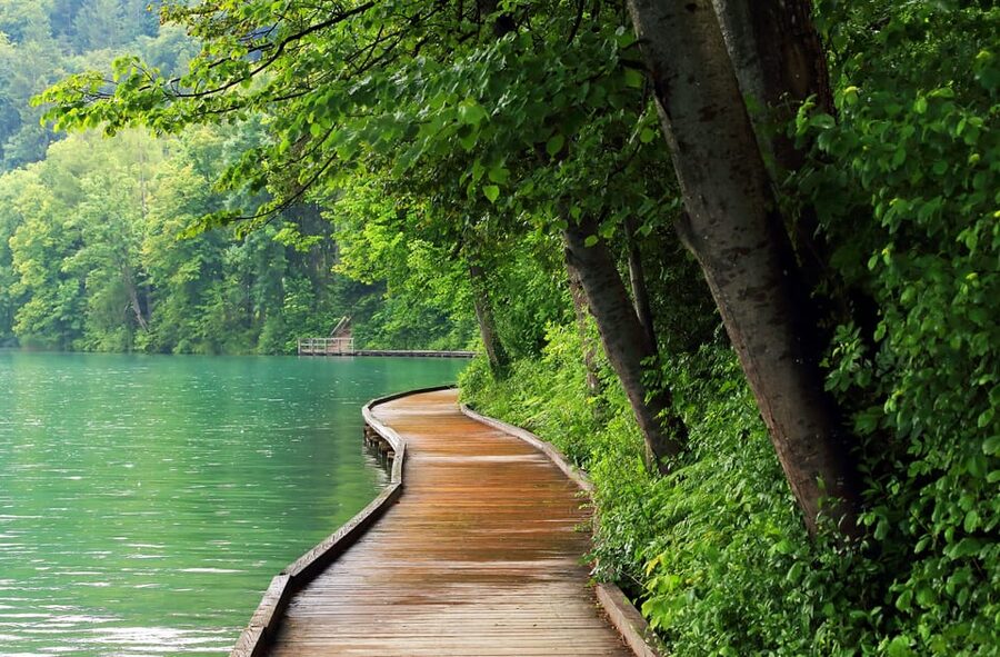 Ljubljana: Lake Bled, Postojna Cave, and Predjama Day Tour - Who should book this day