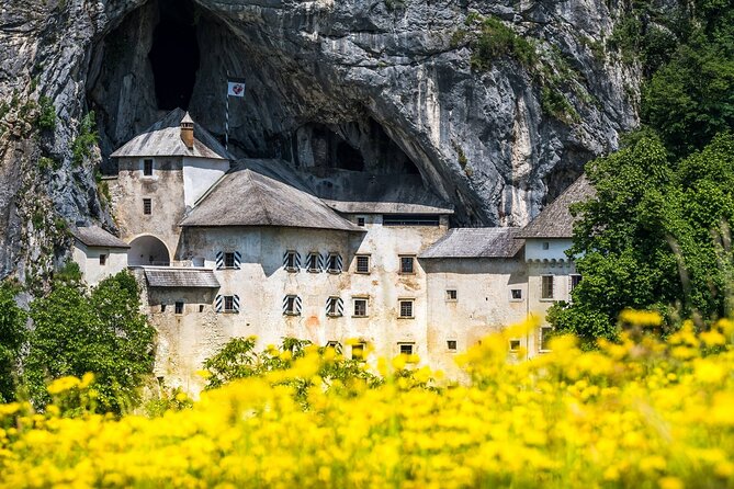 Ljubljana: Postojna cave & Predjama castle small group tour - Two major sights in one five-hour morning