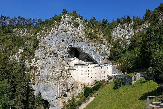 Ljubljana: Postojna cave & Predjama castle small group tour - The human fish and the cave’s unusual life