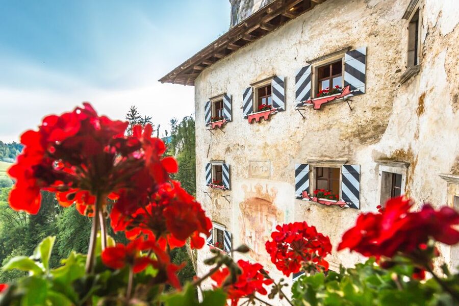 Ljubljana: Postojna Cave & Predjama Castle Tickets and Tour - What the $115 price really buys you