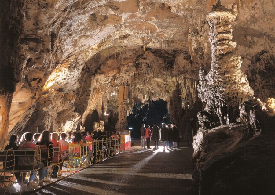 Ljubljana: Postojna Cave & Predjama Castle Tickets and Tour - Who will enjoy this half-day trip