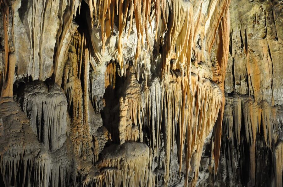 Ljubljana: UNESCO-Listed Škocjan Caves and Piran Day Trip - The best use of your free time in Piran