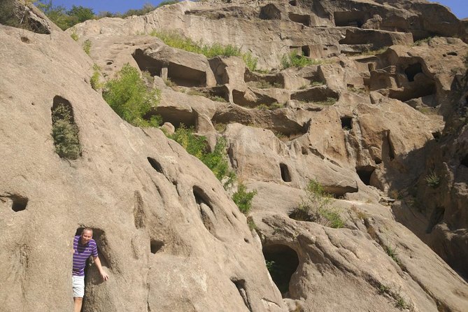 Longqingxia Gorge Cruise and Guyaju Cave Dwellings Private Day Tour - What the private format changes