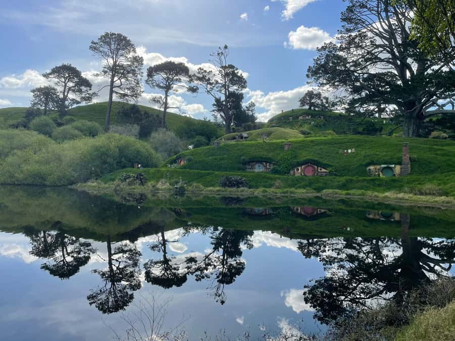 Magical Hobbiton & Waitomo Caves Small Group from Auckland - A useful pause at Shire’s Rest