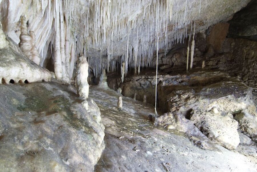 Mallorca: Campanet Caves Entry Ticket - Key points to know before you go