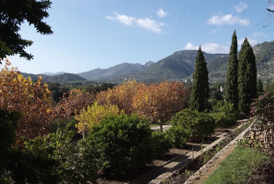 Mallorca: Campanet Caves Entry Ticket - Self-guided: freedom with less explanation
