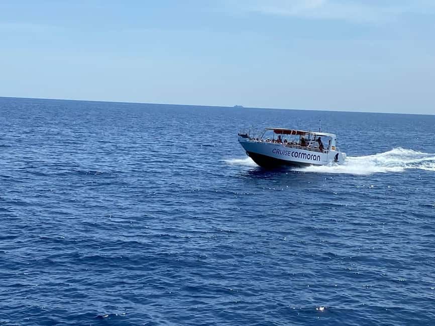 Mallorca: Caves, Cliffs, and Coves Boat Trip - FAQ