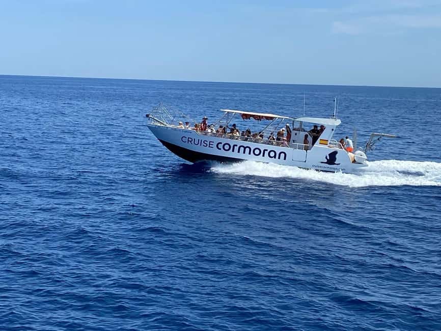 Mallorca: Caves, Cliffs, and Coves Boat Trip - Two swimming stops, about 20 minutes each