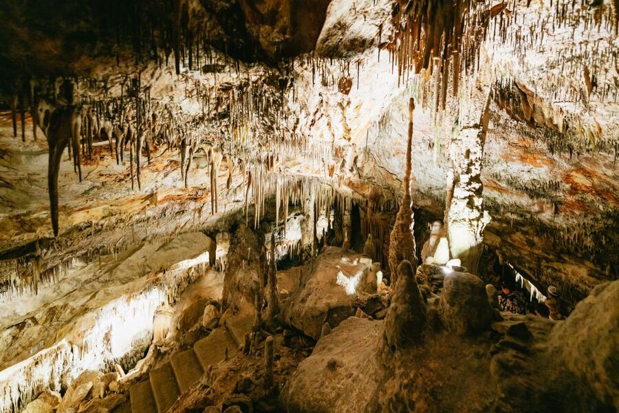Mallorca: Caves of Drach Day Trip & Optional Caves of Hams - Is the $62 price good value?