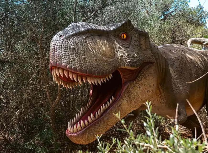 Mallorca: Caves of Hams and Dinosaurland Ticket with Pickup - Dinosaurland gives children a change of pace