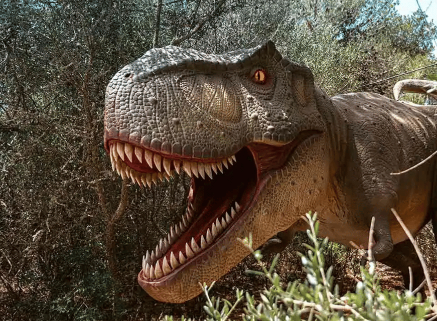 Mallorca: Caves of Hams and Dinosaurland Ticket with Pickup - The morning pickup needs careful attention