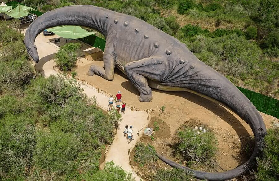 Mallorca: Caves of Hams and Dinosaurland Ticket with Pickup - Practical tips for a smoother morning
