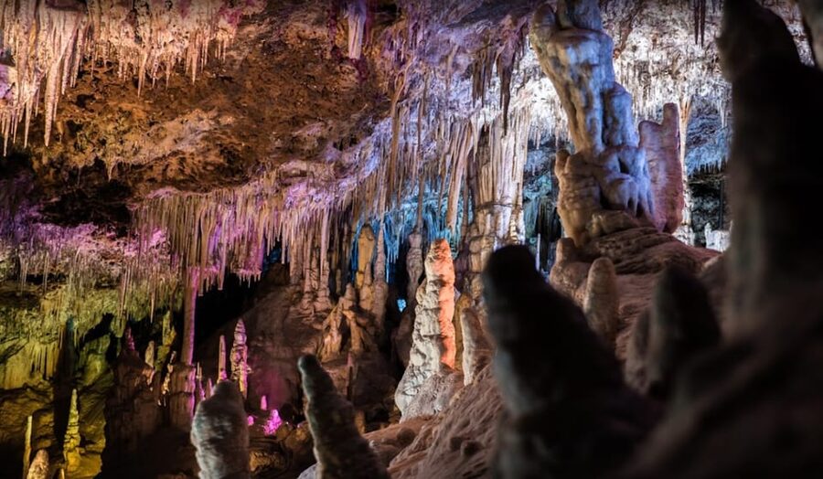 Mallorca: Day Trip to Caves of Hams & Optional Dinosaurland - The optional Dinosaurland visit on Thursdays