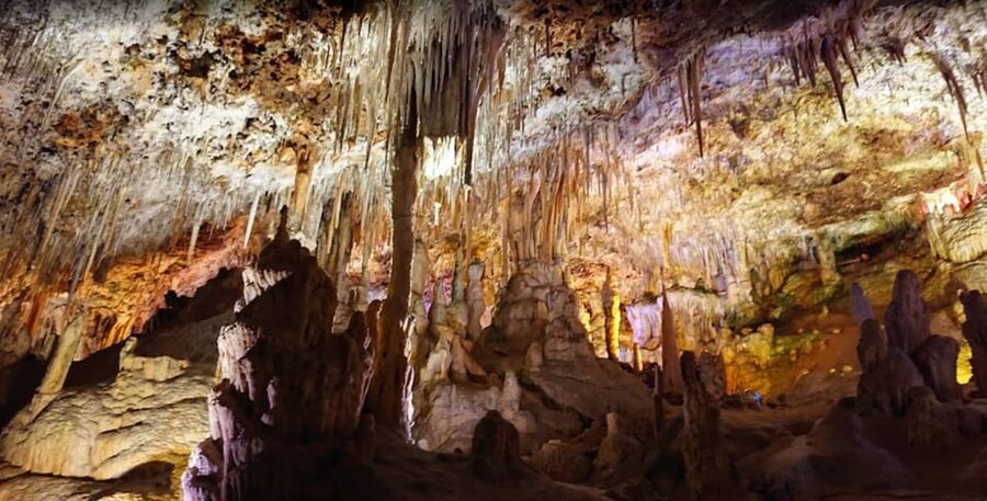 Mallorca: Day Trip to Caves of Hams & Optional Dinosaurland - The pearl-factory stop and the hidden cost of time