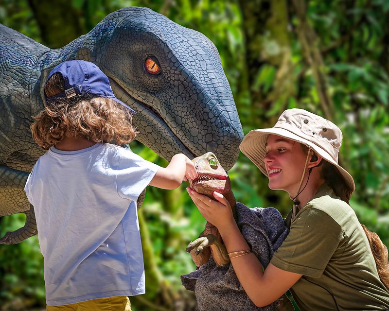 Mallorca: Dinosaurland and Caves of Hams Combined Ticket - Timing, shoes, and practical comfort