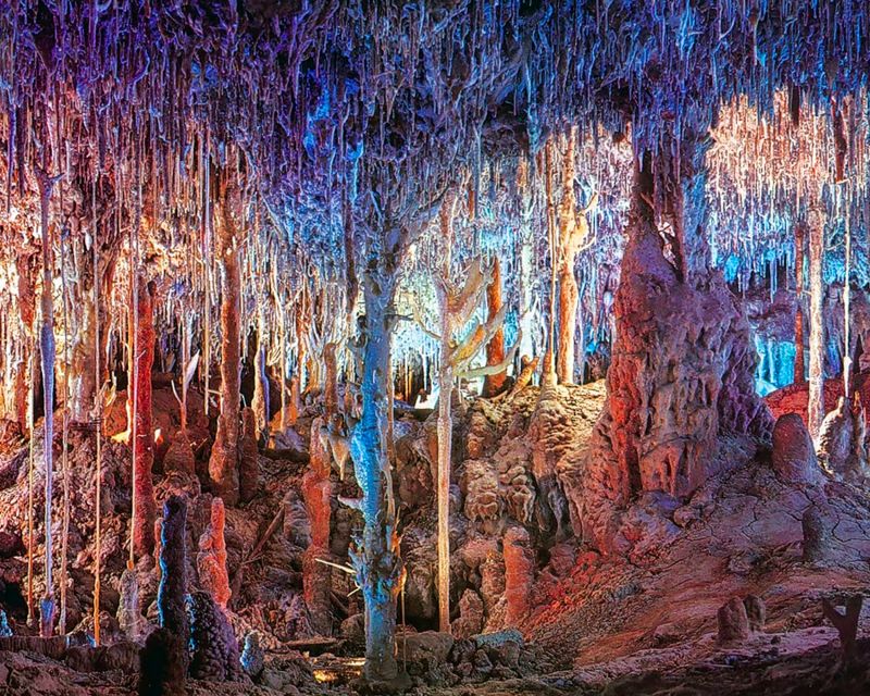 Mallorca: Dinosaurland and Caves of Hams Combined Ticket - Inside the Round Cave’s botanical garden