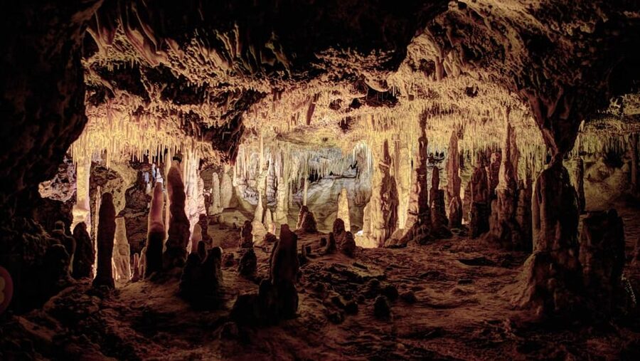 Mallorca: Drach Caves, Lake Martel, & Pearl Factory Day Trip - Key points at a glance