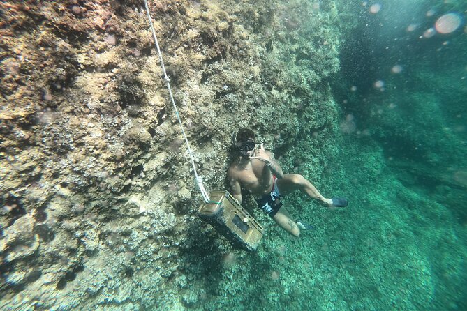 Mallorca: Kayaking, Sea Cave, Cliff Jumping & Snorkel Tour - Getting to the starting point by yellow Fun-Bus