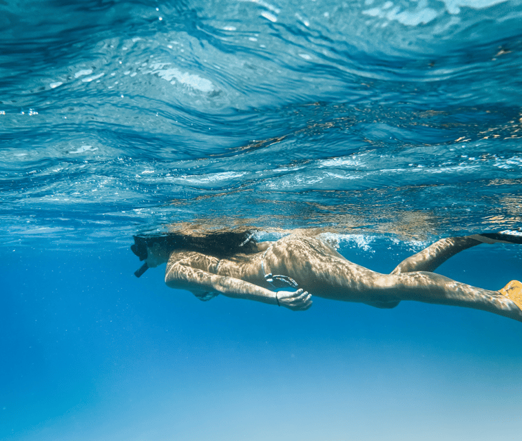Mallorca Marine reserve: Visit caves, cliffs and snorkeling - Value for a half-day in Mallorca