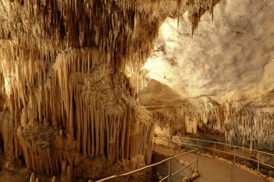 Mallorca: Ticket for Caves of Drach with Pickup Service - What the Caves of Drach experience is really like