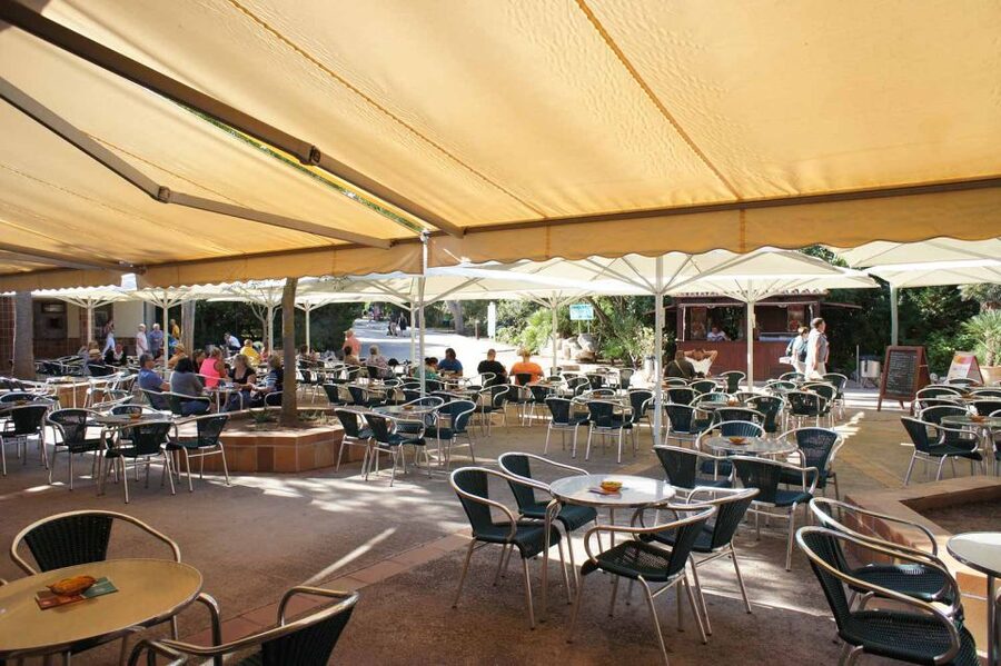 Mallorca: Ticket for Caves of Drach with Pickup Service - Is the $64 price good value?