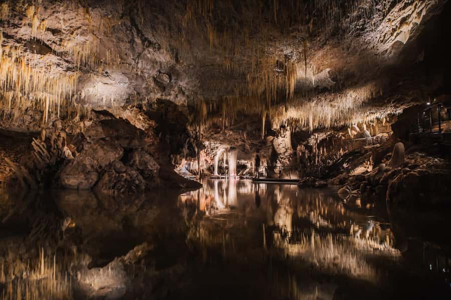 Margaret River: Lake Cave Fully-Guided Tour - Key points to know before you go