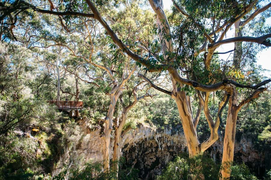 Margaret River: Lake Cave Fully-Guided Tour - Entering the crystal chamber