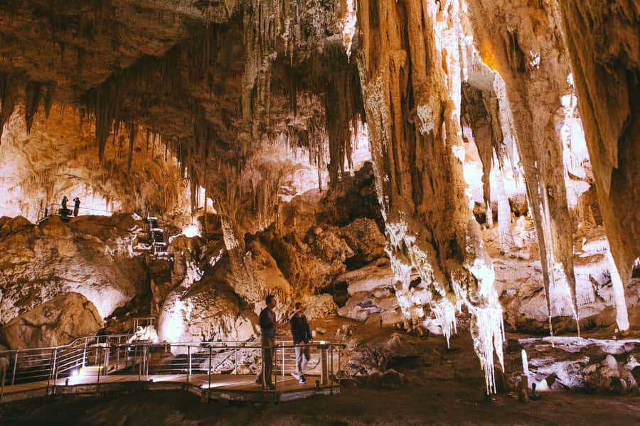 Margaret River: Self-Guided Audio Tour of Mammoth Cave - Walking through Australian bushland
